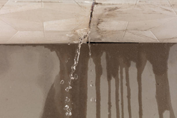 Professional Flood Damage Cleanup technician working in New Boston, MI